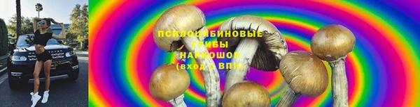 спайс Белокуриха